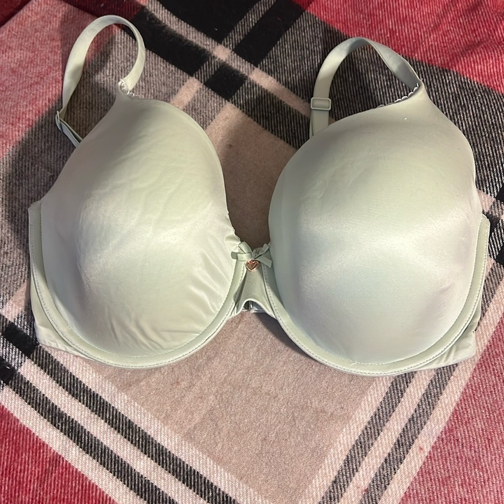Body by Victoria bra 34DDD